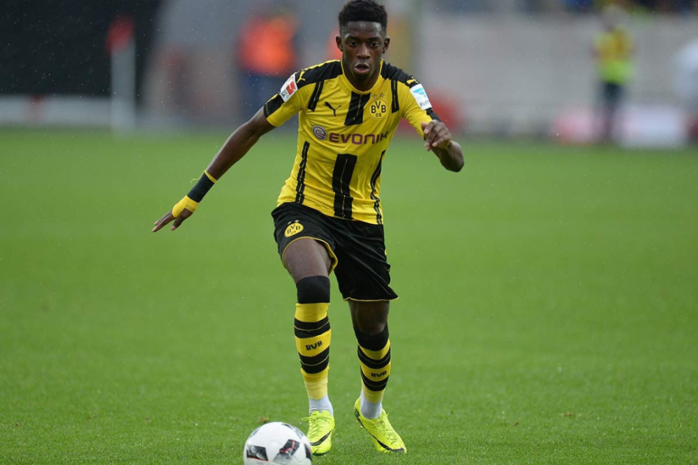 己青训成果 己青训成果